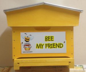 parrainer une ruche pour la sauvegarde des abeilles