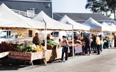 Tout ce qu’il faut savoir sur les équipements de marché