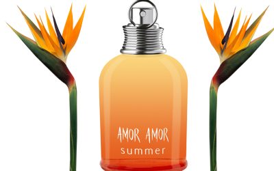 On part en vacances avec le parfum pour femme Amor Amor Summer !